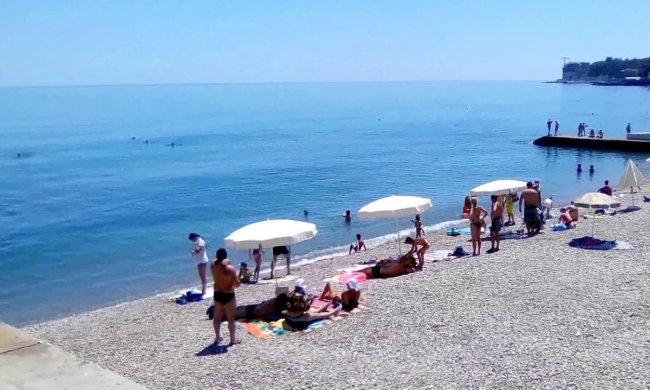 В сеть попало скандальное видео: в Крыму фотографы избили туристов за отказ платить за фото с орлом