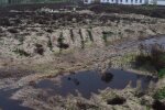 Херсонская область после оккупации. Фото: Генеральная прокуратура Украины