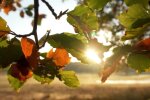 Природа.  Фото: скриншот YouTube-видео