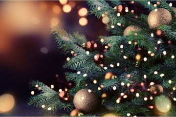 Елка, фото: GoodFon