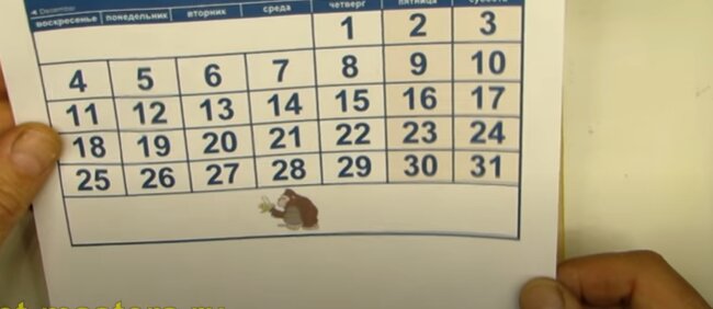 Праздники в Украине. Фото: скриншот YouTube