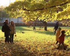 Парк восени. Фото: скріншот Youtube-відео