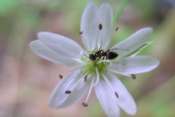 Погода на 24 марта 2020 года