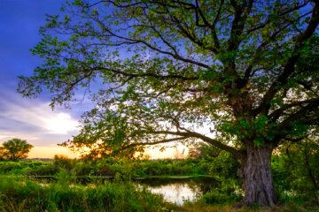 Погода. Фото: YouTube