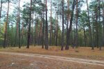 Потепление в Украине.  Фото: скриншот YouTube-видео