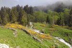 Погода в Украине.  Фото: скриншот YouTube-видео