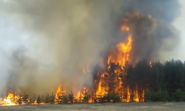 Спасатели предупредили об опасности. Фото: скрин YouTube