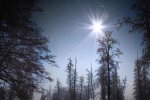 Звездная ночь. Фото: скриншот YouTube-видео