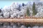 Заморозки. Фото: скриншот видео