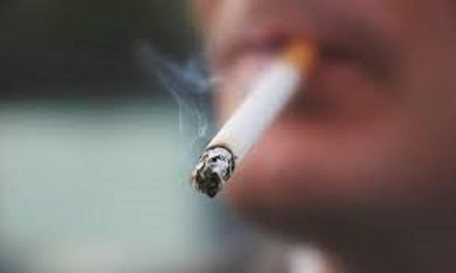 Источник: 24 канал