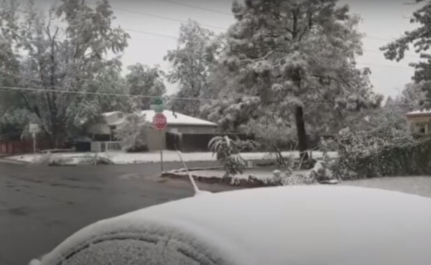 Снег. Фото: скриншот YouTube