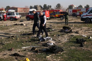 В сети появились новые кадры крушения украинского лайнера, фото - УНИАН