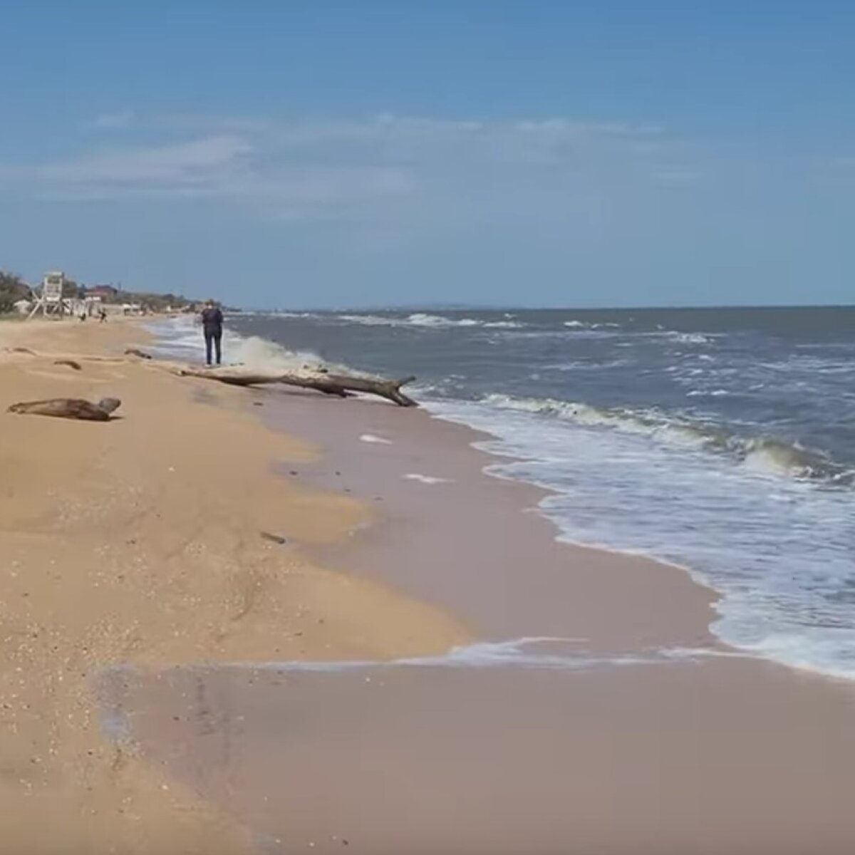 Азовское море ушло от берегов на сотни метров, видео