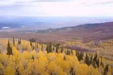 Природа. Фото: скріншот відео YouTube