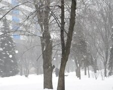 Снігова погода. Фото: скріншот YouTube-відео