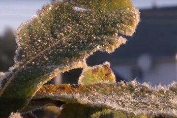 Погода в Украине. Фото: YouTube, скрин