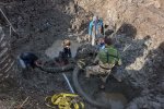 Украинская земля хранит много сюрпризов: археологи откопали древнейших животных Ледникового периода