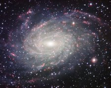 Астрономы: Наша галактика уже умерла один раз и мы видим ее «вторую жизнь»