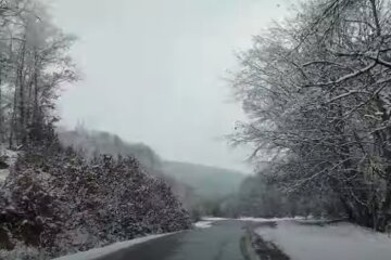 Погода 10 декабря 2020 года!