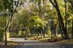 В Киев постепенно врывается осень: прогноз погоды в Киеве на 11 сентября