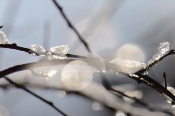 Заморозки. Фото: YouTube, скрин