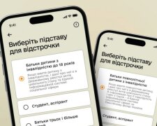 Что делать, если пропала отсрочка от мобилизации. Фото: Telegram