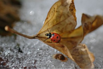 Погода в Украине, фото: pinterest.com