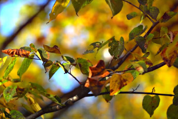 Погода в Україні. Фото: скріншот YouTube-відео.