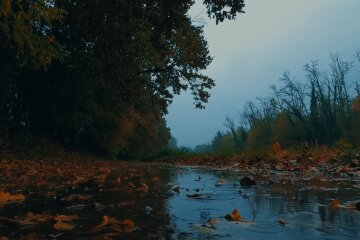 Погода в Україні. Фото: скріншот YouTube-відео