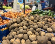 Картопля на українському ринку, травень 2026
