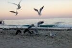 Погода в Одессе. Фото: скриншот YouTube