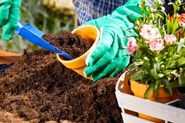 Садимо квіти. Фото: YouTube