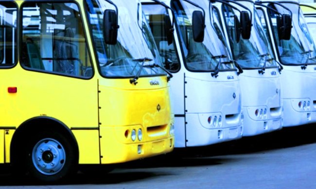 Автобусы. Фото: ГолосUA