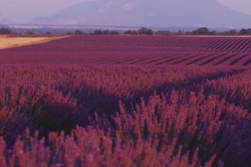 Природа.  Фото: скриншот YouTube-видео