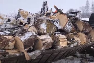 Дрова. Фото: скріншот YouTube-відео