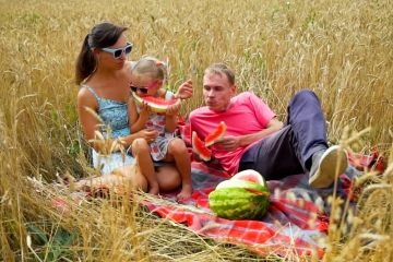 Стоит ли покупать июльские арбузы. Фото: YouTube