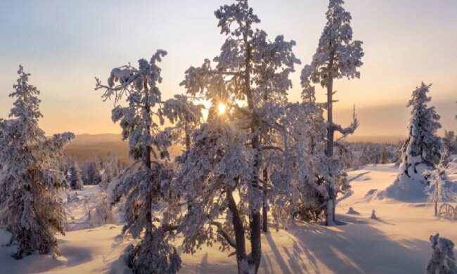 День, когда не стоит откладывать дела на потом: гороскоп для всех знаков Зодиака на 1 января