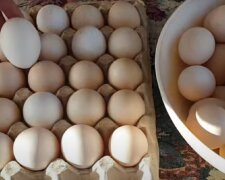 Домашні яйця на продаж, фото: youtube.com
