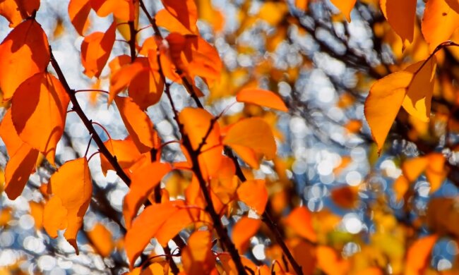 Прогноз погоды на выходные. Фото: скриншот  YouTube-видео