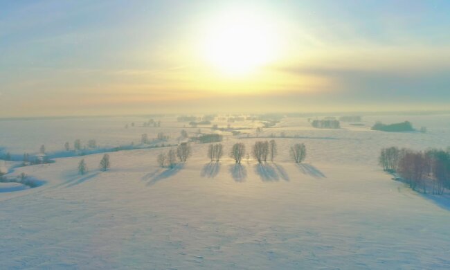 Природа. Фото: скриншот YouTube-видео