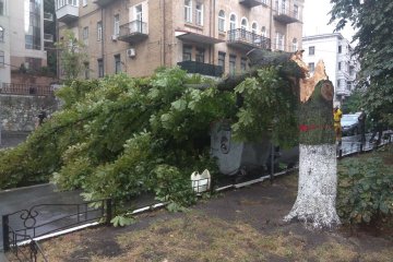 Шторм в Киеве: из-за ливней и грозы в пригороде погиб человек