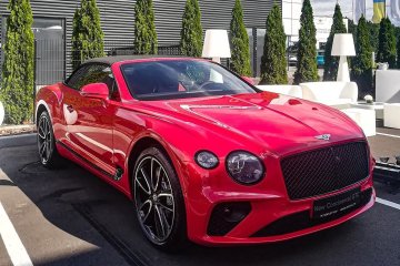 По Киеву ездит девушка на Bentley и возит на переднем сиденье медведя. Фото