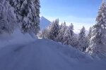 Природа. Фото: скриншот YouTube-видео