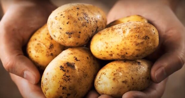 Медики рассказали все о картофеле. Фото: скриншот YouTube