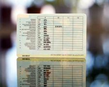 Заміна прав водія: у МВС переводять українців у цифровий формат - покрокова інструкція