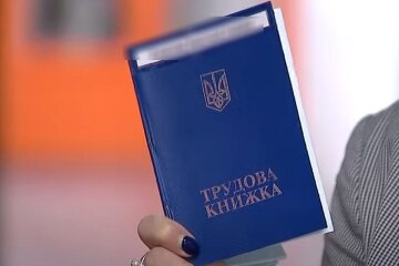 Трудовая книжка. Фото: скриншот YouTube-видео