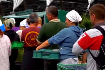 Заробитчане. Фото: скриншот Youtube