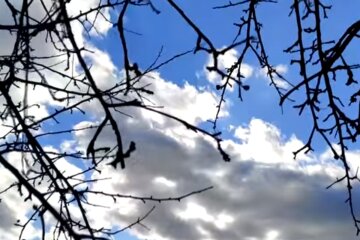 Природа. Фото: скріншот YouTube-відео
