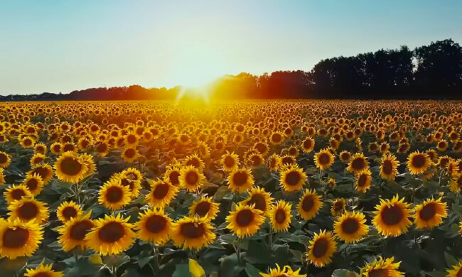 Погода. Фото: YouTube