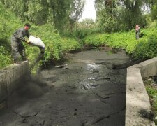 В Киеве озеро превратили в черное болото: вокруг один мазут и погибнет все живое